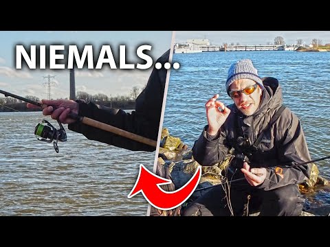 DAS darf beim Angeln NIEMALS passieren! Warum viele Zanderangler im Winter verzweifeln...