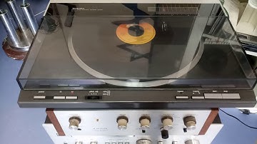 Technics SL - DL1 one