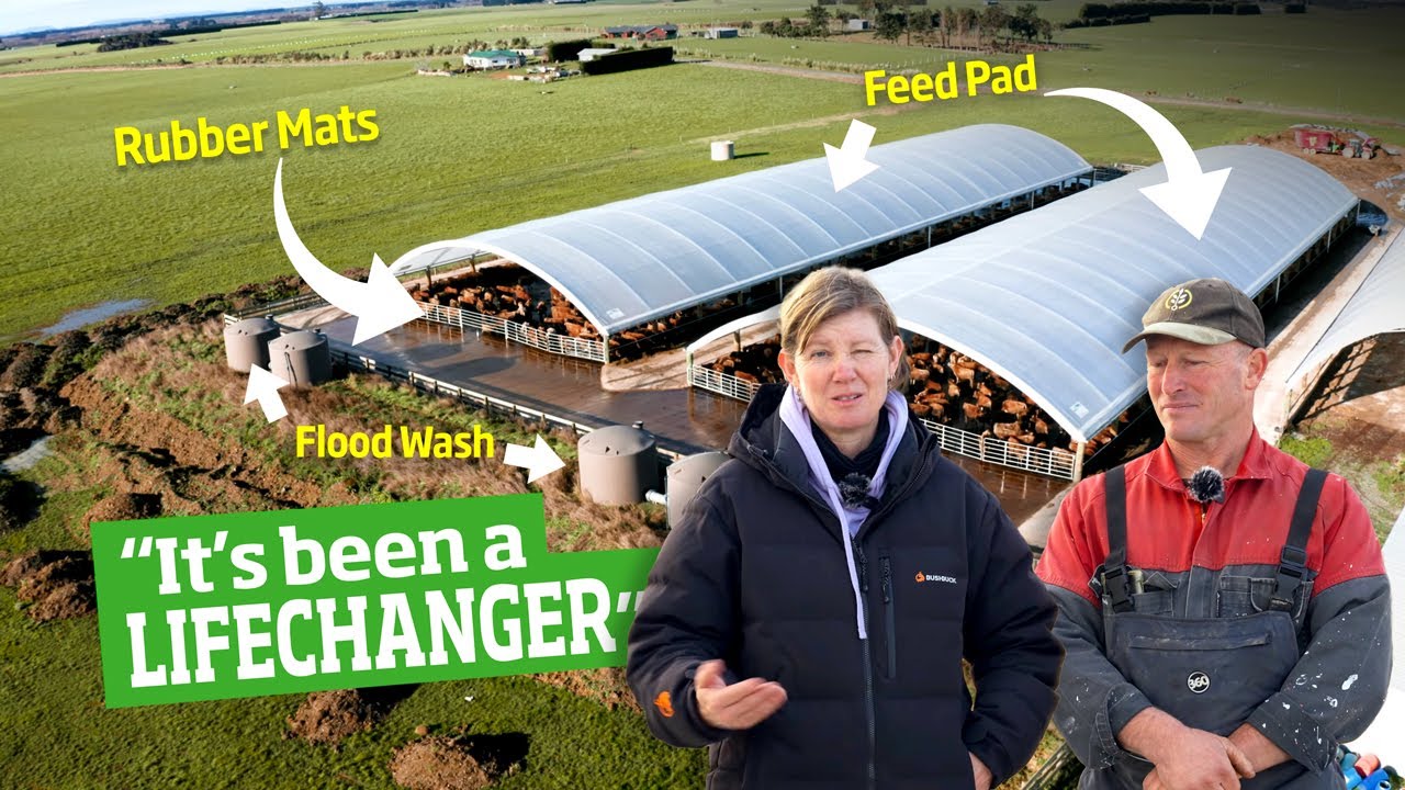 Wintering & Feed Pad with Flood Wash and Rubber Mats - Jersey Girl farm