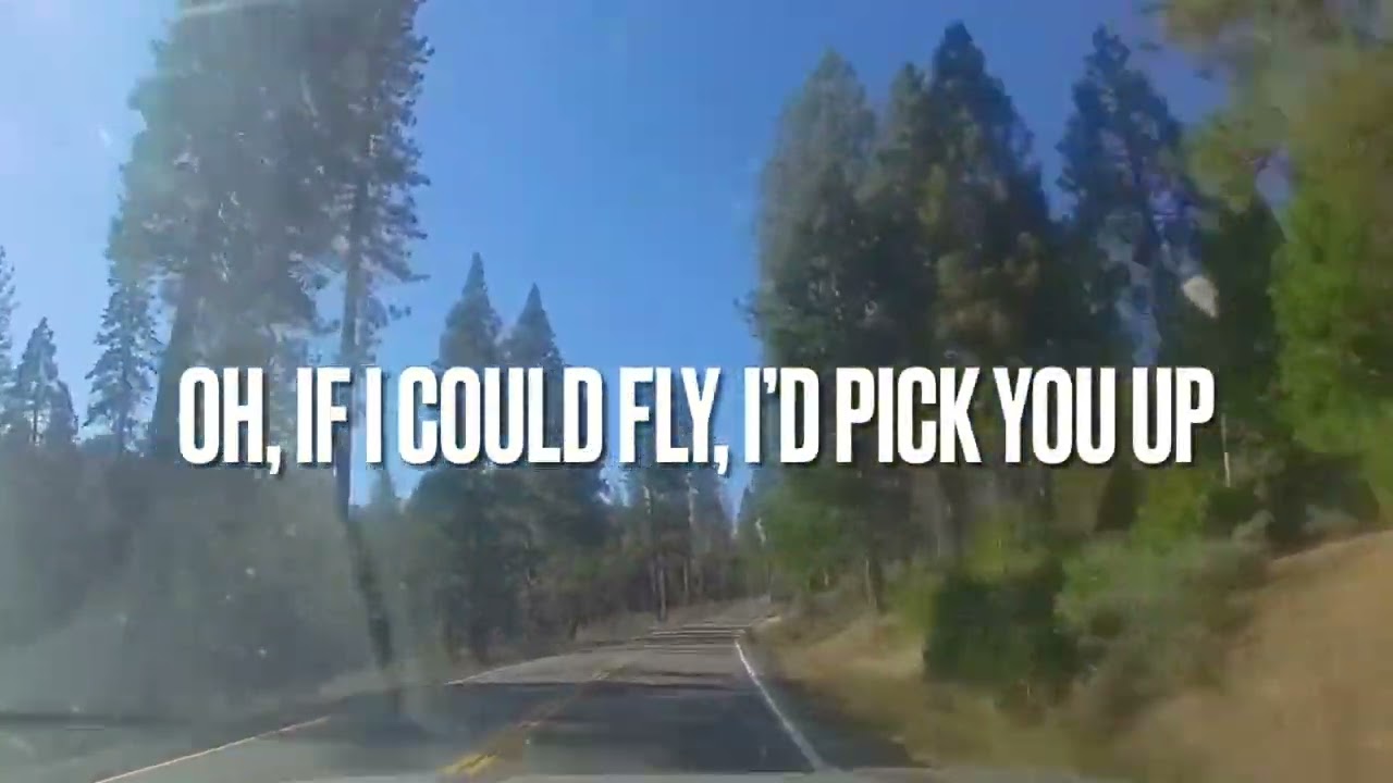 Into the Night by Benny Mardones with lyrics 1980