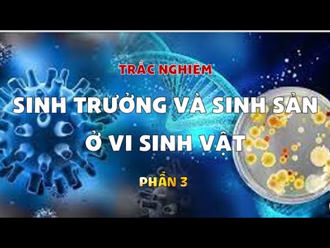 Trắc nghiệm Sinh 10 - Bài 18 - Sinh trưởng và sinh sản ở vi sinh vật - P3 - youtube