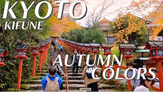 Guide to KIFUNE Shrine's Autumn Magic: MAPLE TREE TUNNEL and Serene Beauty - KYOTO, Japan