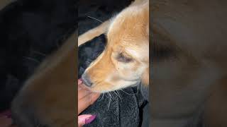 Do You Like My Nails?