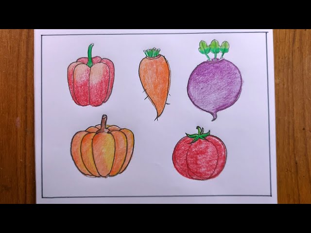 How to Draw 13 Vegetables Easy - Drawing and Coloring veggies for beginners  | Easy drawings, Easy drawings for kids, Easy doodles drawings