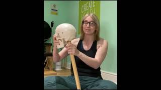 Neck instability in Hypermobility - The Bobble Head Effect by Jeannie Di Bon 1,760 views 6 months ago 1 minute, 23 seconds