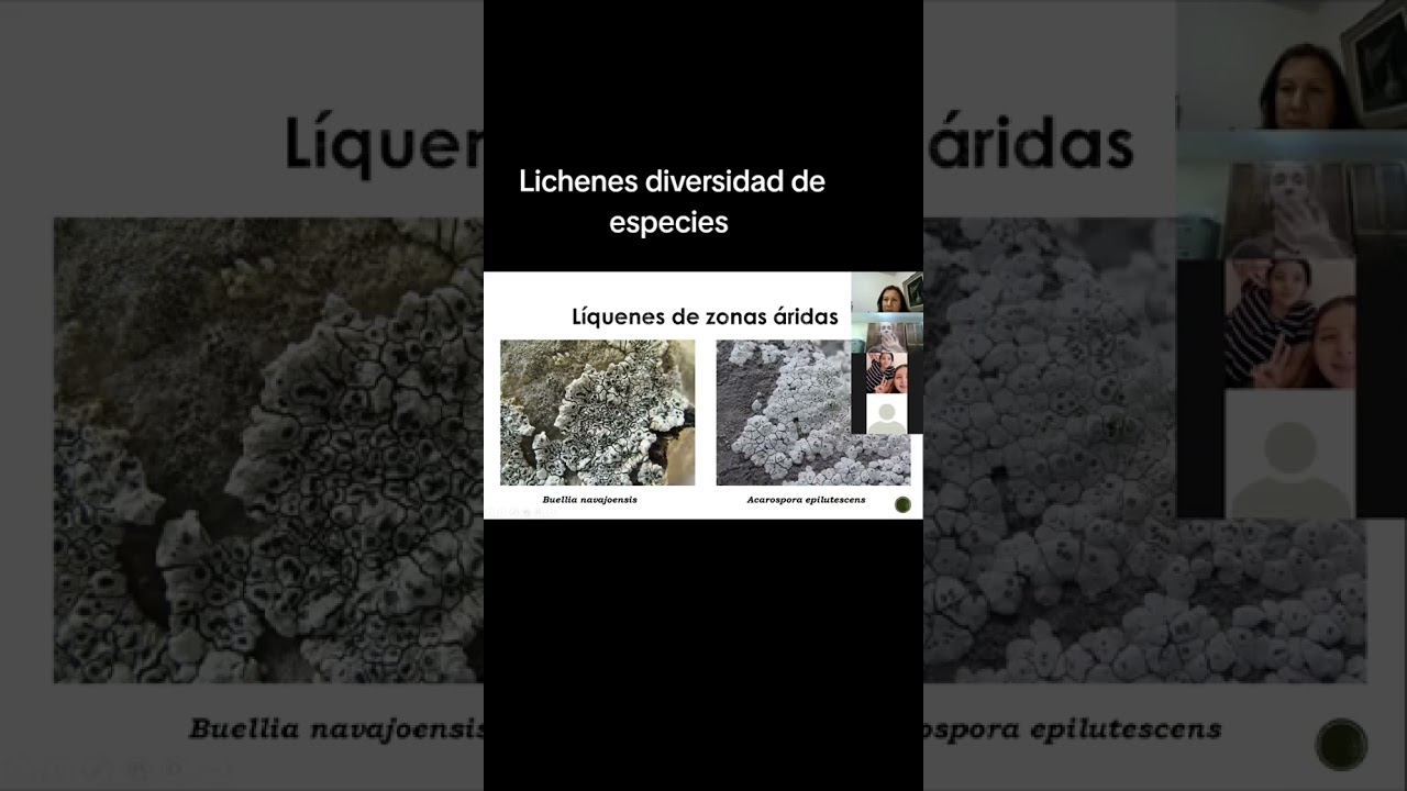 ¡No creerás cuántos tipos de líquenes existen! 😱