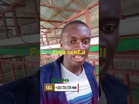 Video: Gharama ya wastani ya ufugaji wa mchwa ni kiasi gani?