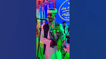 يازولي العسل وريني بي كل الحصل وريني بله ودالاشبه 2025 