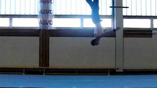 Double Flashkick [High-Speed]