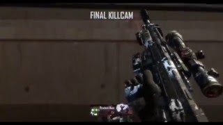 middle of things #Birdie1K (200 Sub Special)