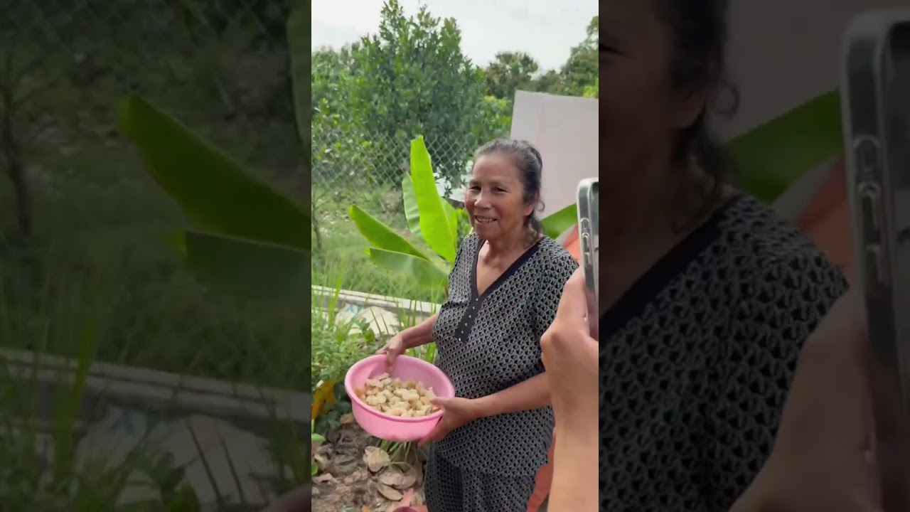 P15 Chú Minh Cô Giao Vui Vẻ Khi Bán Đất Thành Công ,Hết Lo #chuminhcogiao 