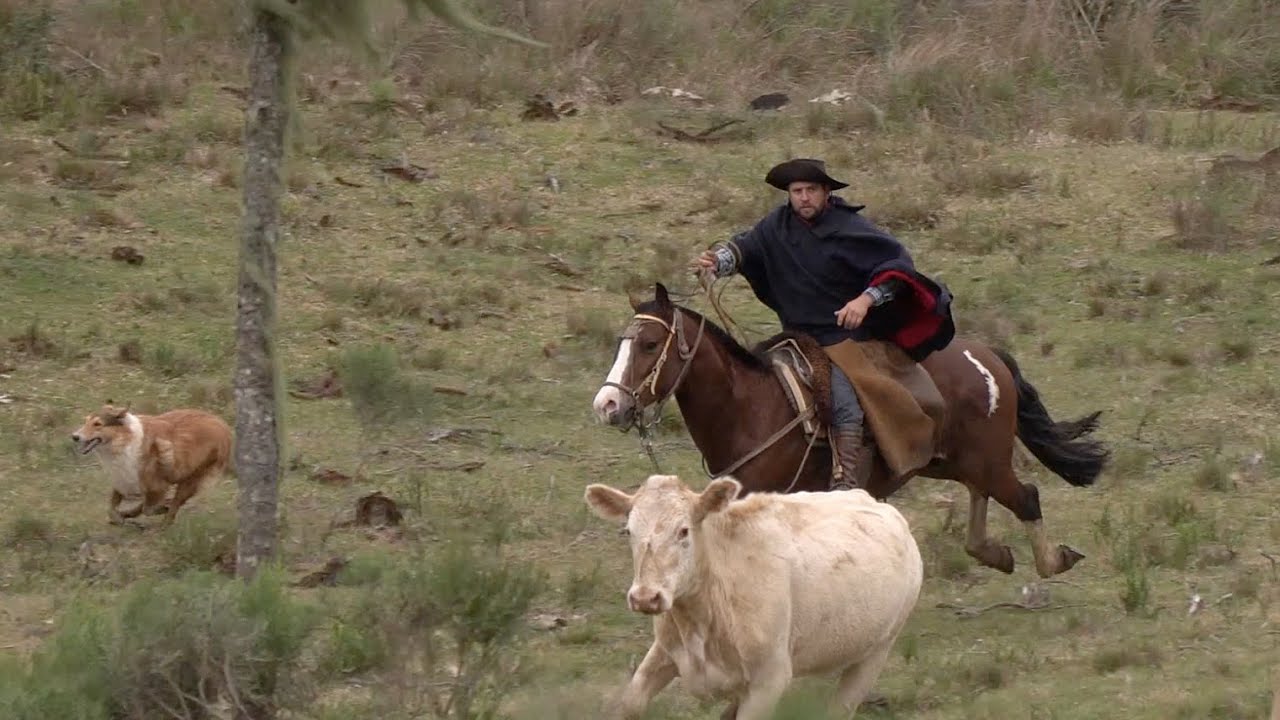 Gauchos / Episode 1 / Saddling Up The World