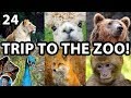 MY TRIP TO THE ZOO 2018 | VWK VLOG 24