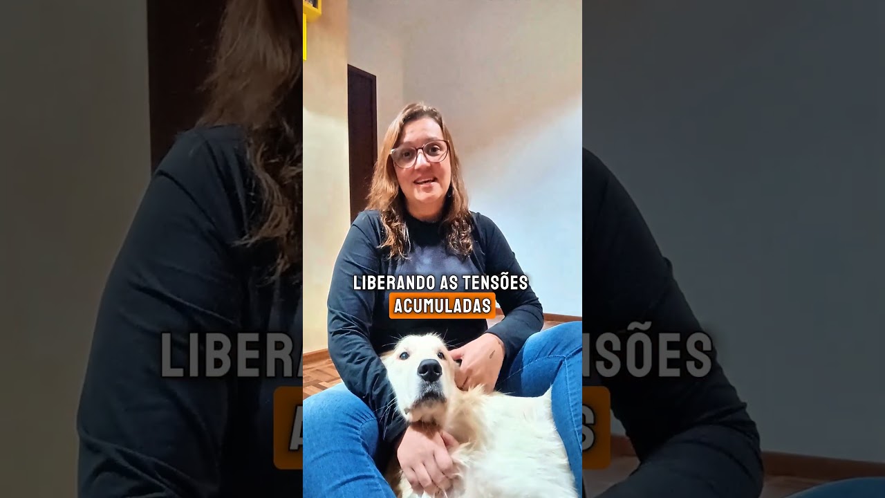 Reiki para Ansiedade: A Calma que Seu Pet Merece! 