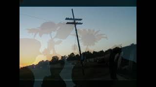 Postcard from Lafayette County, Arkansas