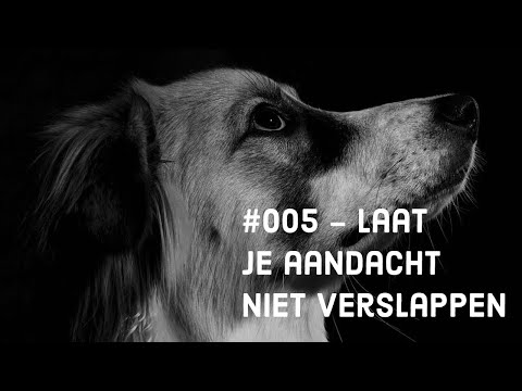 Video: Hoe Je Je Niet Verslapt?