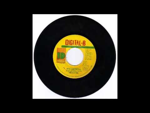 Garnett Silk ‎– It's Growing (Vinyl Side B Instrumental)  1992