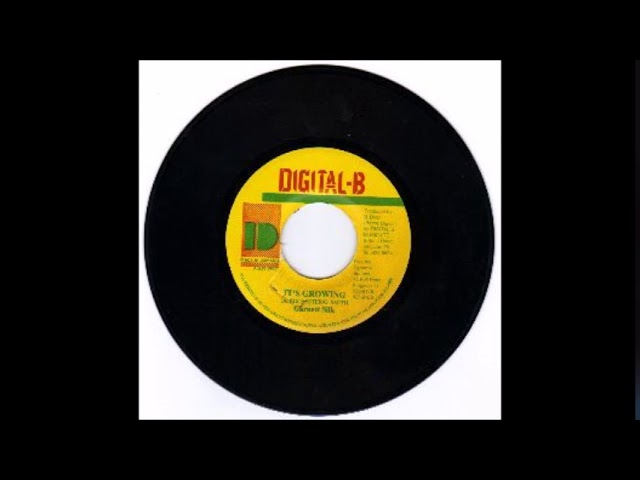 Garnett Silk ‎– It's Growing (Vinyl Side B Instrumental) 1992