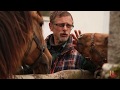 Местные заводчики башкирских лошадей научились готовить кумыс