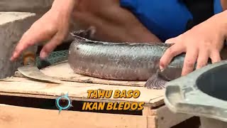 TAHU BASO IKAN BLEDOS | JEJAK SI GUNDUL (06/03/22)