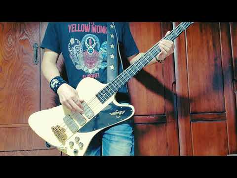 ｢遥かな世界｣【ベース弾いてみた】【THE YELLOW MONKEY】