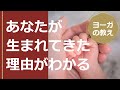 これを見るとあなたが生まれてきた理由がわかります