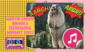 Martin Garrix - Animals (Screaming Marmot Edit)