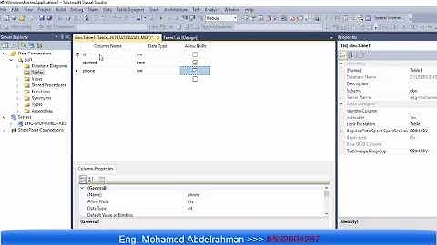 Data Base visual studio C# L1
