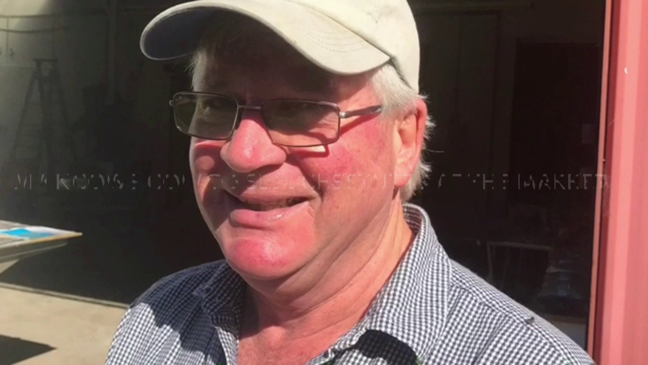 Chestnut processing Nz