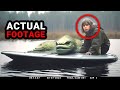 Recent alarming trail cam footage you wont believe