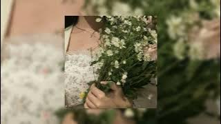 Daylight - Taylor Swift | best part | tiktok part