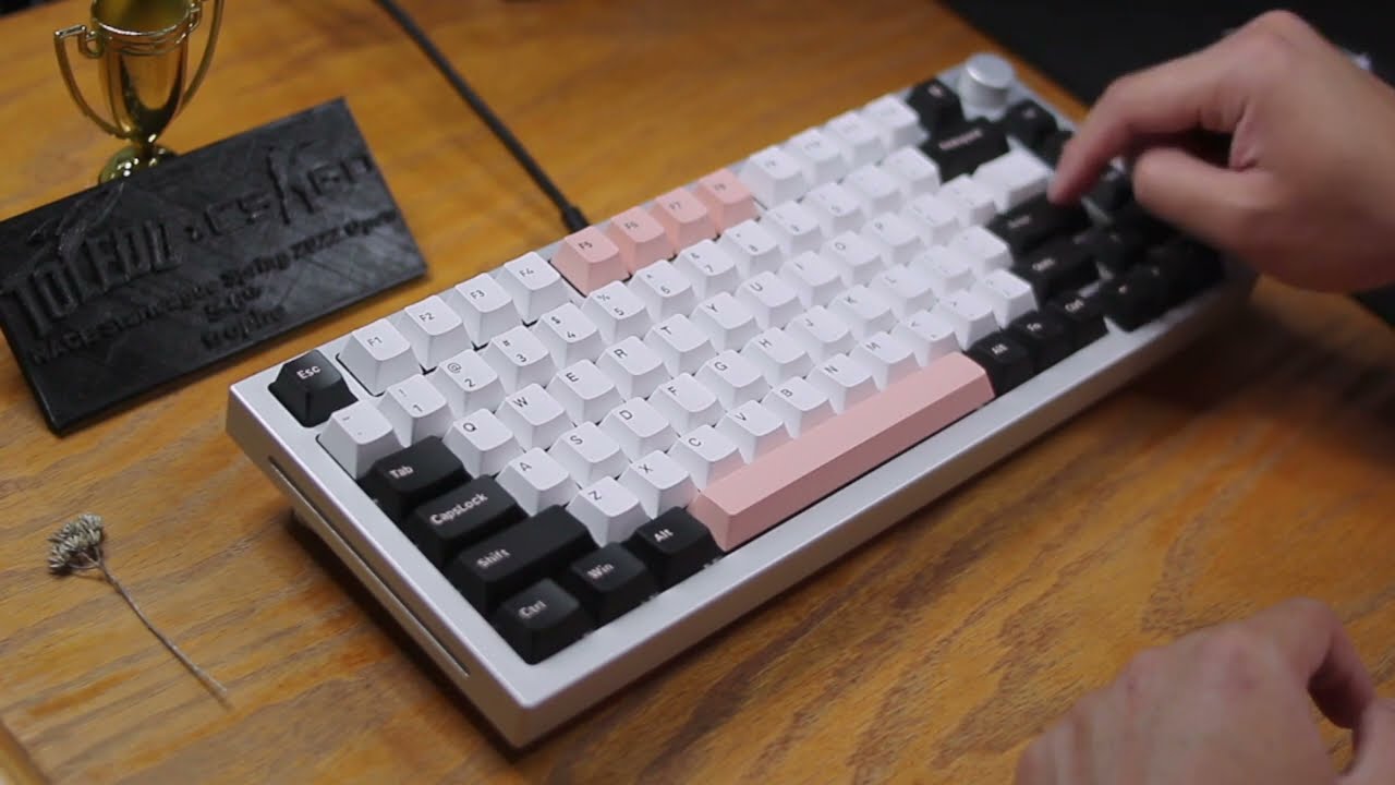 GMMK Pro w/ Silent Alpacas GMFake Olivia sound test