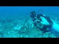 Scuba Diving in Isla Mujeres. Diving MUSA and Manchones 2