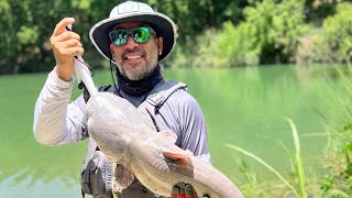 GIANT CATFISH GUADALUPE RIVER TX