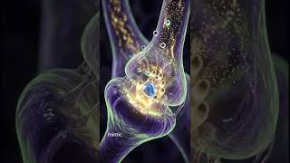 Your Brain Is A 13-Billion-Year-Old Antenna