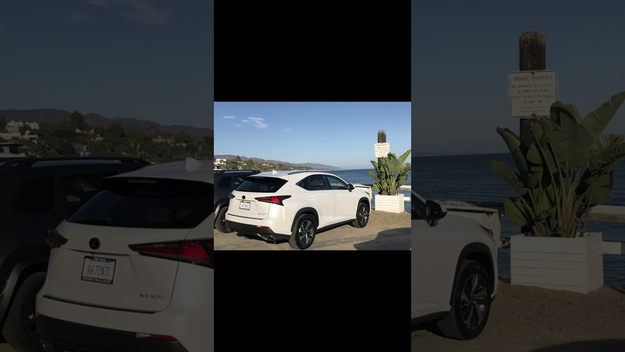 🕊️ аудио-ритуал прощания  с Transito — гламурным жопокрутом . Не с болью — а с благодарностью 🤍