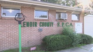 Lenoir County SPCA is first animal shelter to receive special grant from actress Katherine Heigl