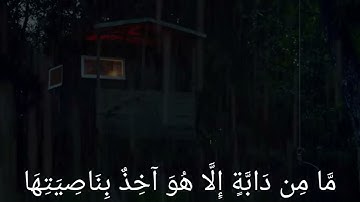 آية 56 من سورة هود❤❤