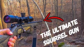 The Perfect Squirrel Gun! (Public Land Squirrel Hunting)
