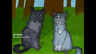 WARRIOR CATS TIKTOK COMPILATION// Part 8