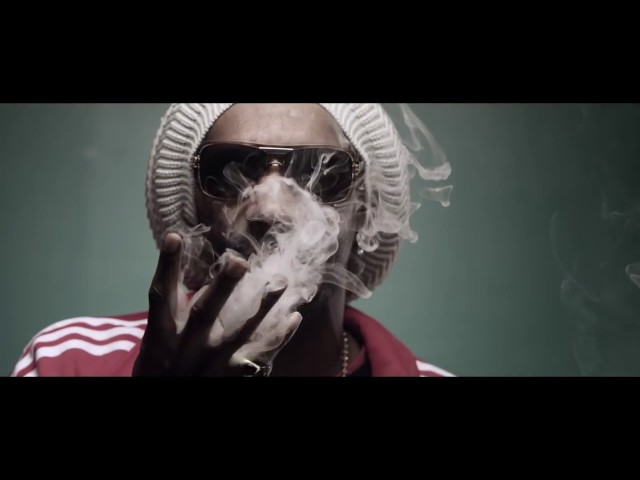Snoop Lion   Smoke The Weed ft Collie Buddz Music Video online video cutter com class=