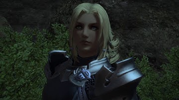 FFXIV J.L Paladin Level 80 Quest