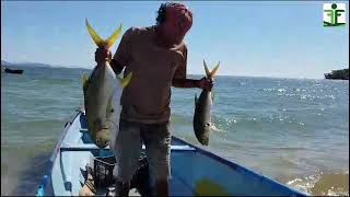 Pescadores organizados de #Amapala le apuestan al turismo sostenible