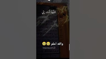 #تلاوة_خاشعة #تلاوة_هادئة #إسلام_صبحي #اسلام_صبحي #خواتيم_سورة_المؤمنون #سورة_المؤمنون #قرآن_كريم #