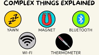 How Complex Systems Can Simplify Your Daily Life
