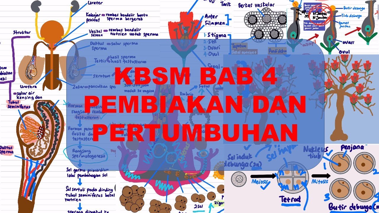 Latihan Biologi Tingkatan 4 Kssm