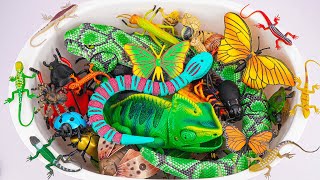Ultimate ZURU Robo Alive Insects ASMR 🦎 Chameleon, Snake, Spider, Lizard, Worm (No Talking) screenshot 4