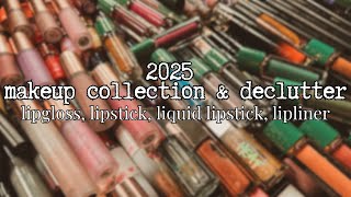 2025 makeup collection & declutter! | lipgloss, lipstick, liquid lipstick, lipliner