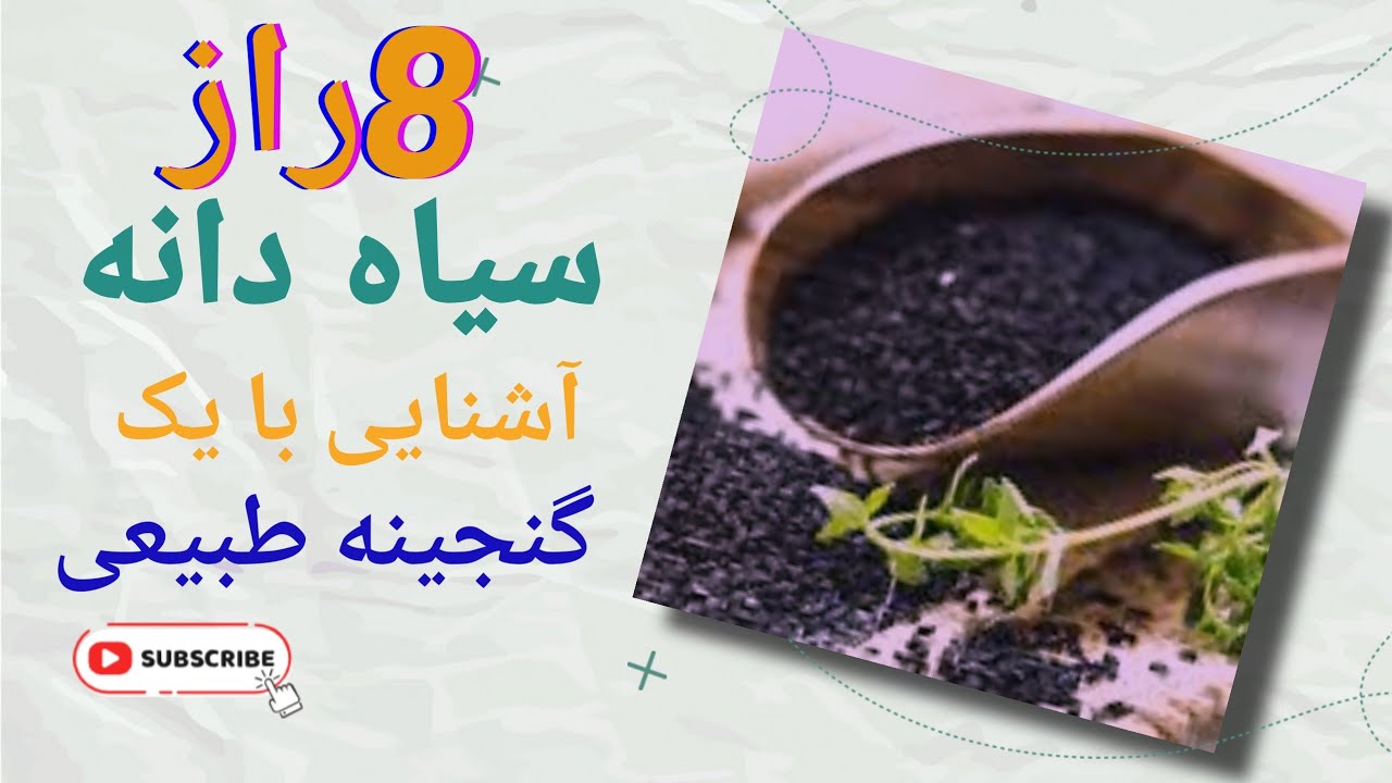خواص شگفت انگیز سیاه دانه:آشنایی با یک گنجینه طبیعی - YouTube