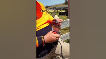 My Experience with the Electric Sheep Shearing Clippers | Easy & Efficient! | 2025